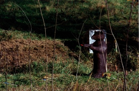 ../Images/Backnang25.jpg