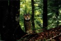 Thumbs/tn_slo2002.jpg