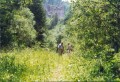 Thumbs/tn_slo_2001_1_100.jpg